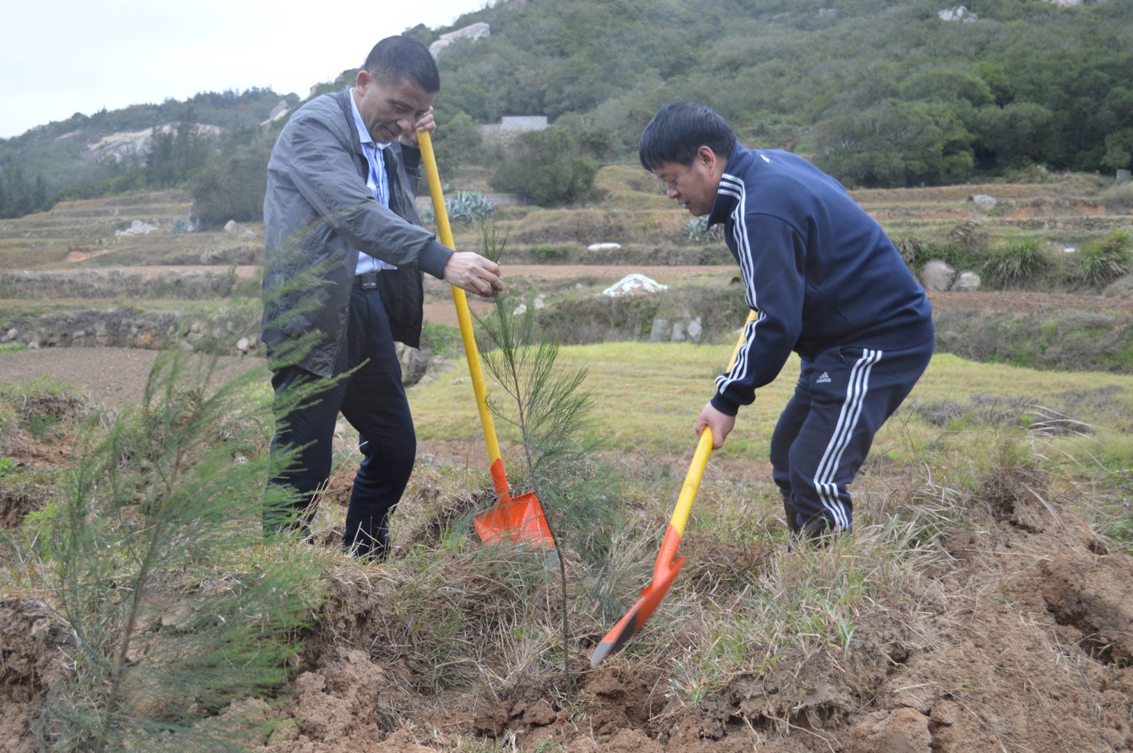 微信图片_20191128102816.jpg 微信图片_20191128102816.jpg