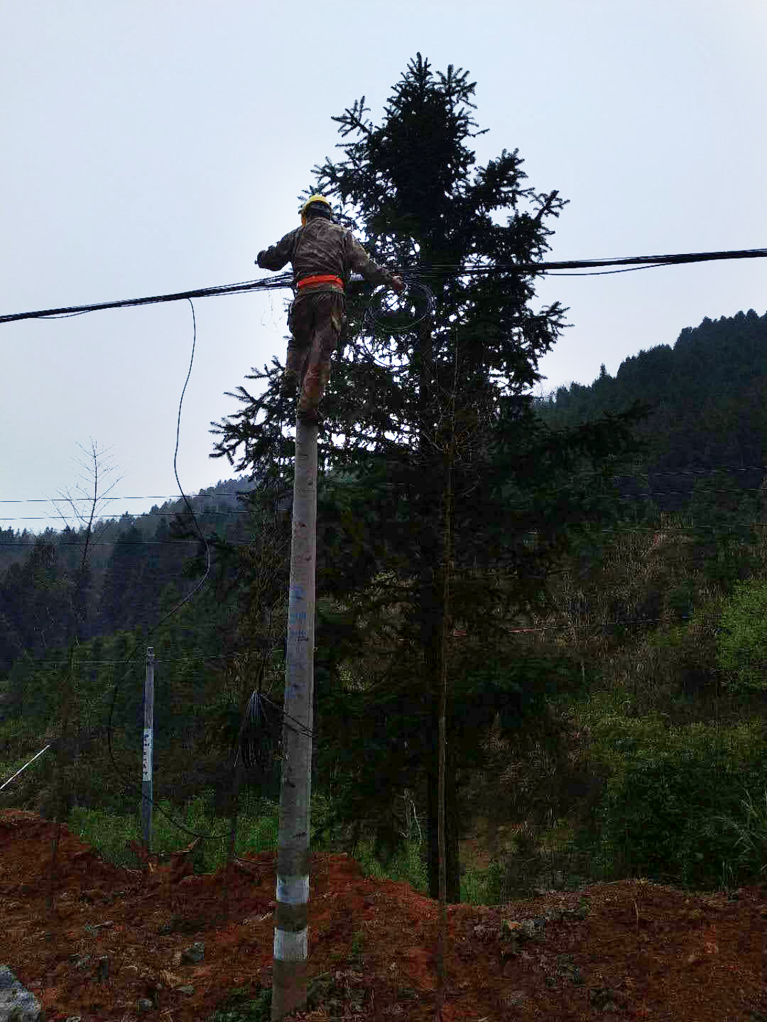 mmexport1584441959185_91261.jpg mmexport1584441959185_91261.jpg