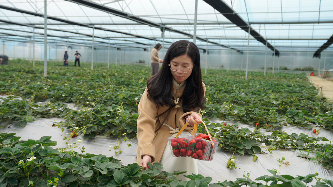 _DSC8211.png _DSC8211.png