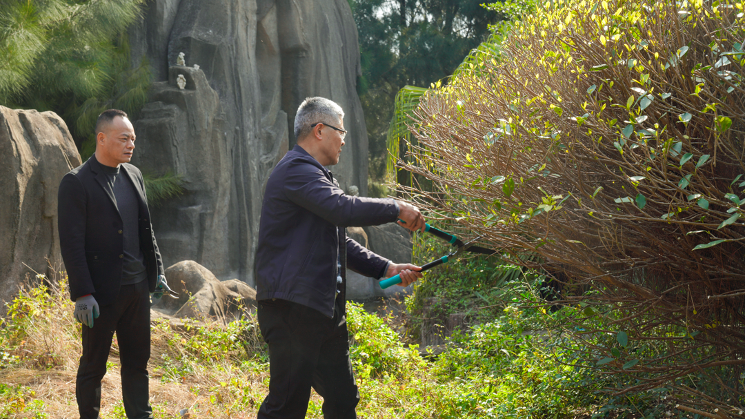 _DSC8664.png _DSC8664.png