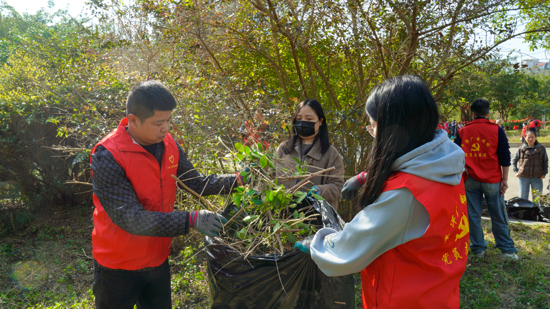 _DSC8758.png _DSC8758.png