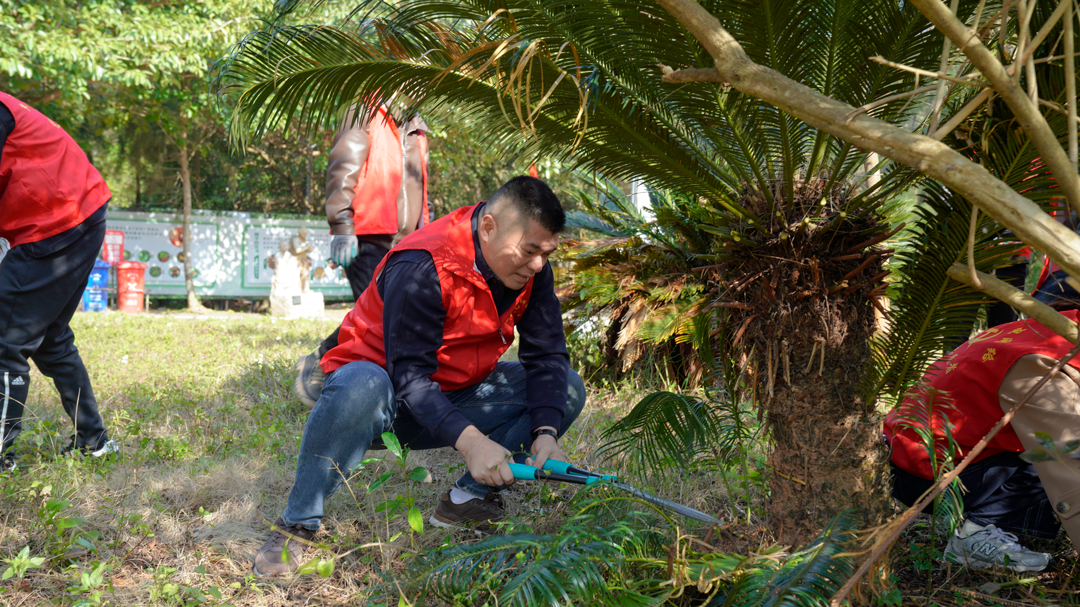 _DSC8733.png _DSC8733.png